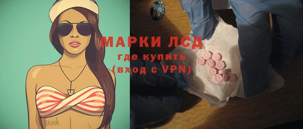 стафф Касимов