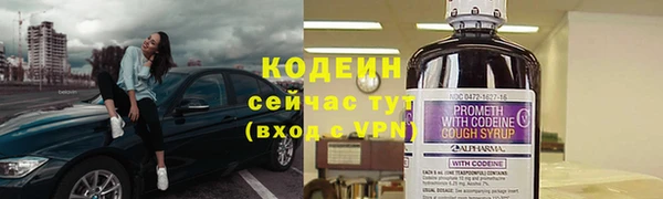 стафф Касимов