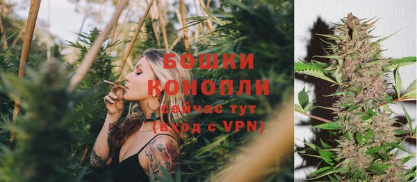стафф Касимов