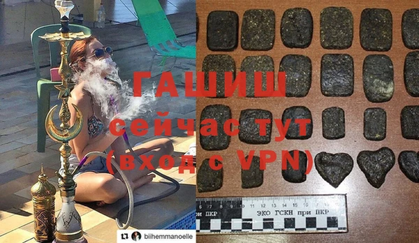 стафф Касимов