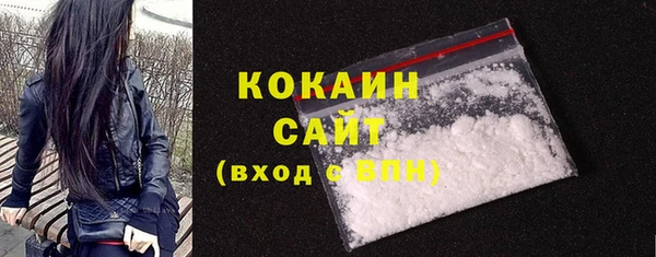 стафф Касимов