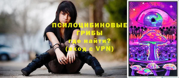 прущая мука Карталы