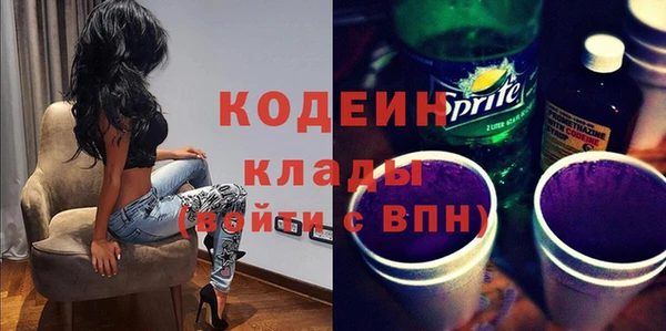 стафф Касимов
