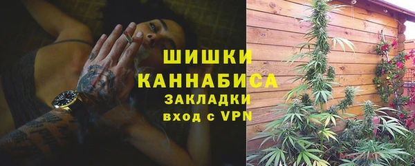 стафф Касимов