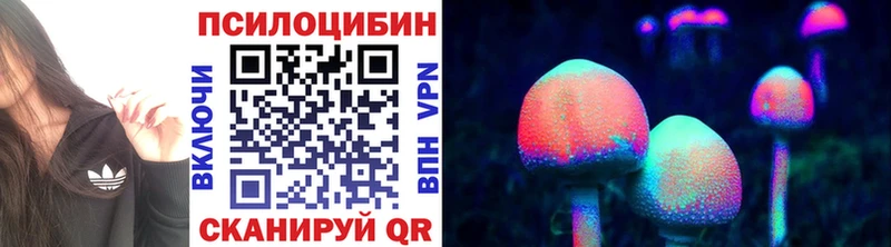 Купить закладки  Шимановск  Псилоцибиновые грибы прущие грибы 